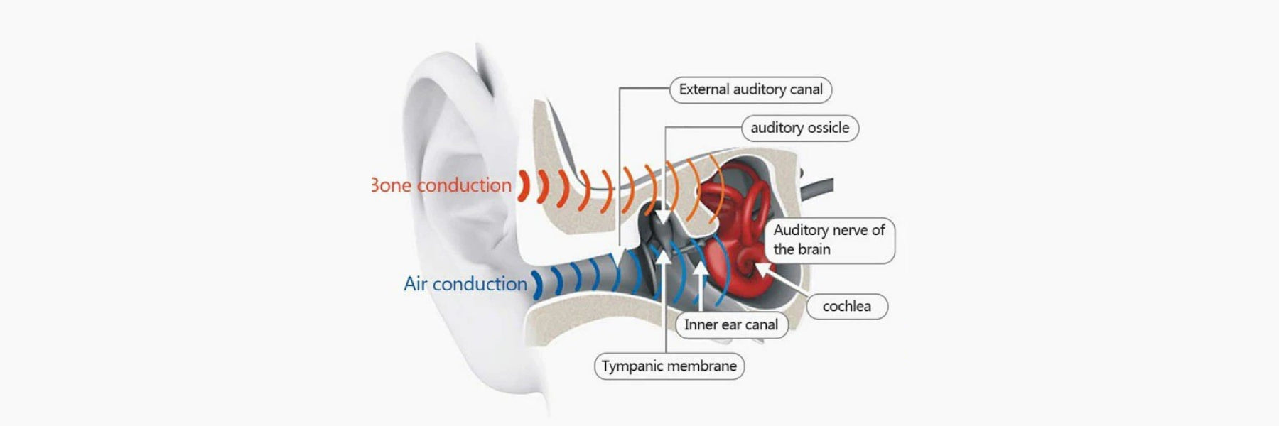 Air Conduction Vs. Bone Conduction Glasses – Everything You Need to Know